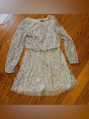 Adrianna Papell Silver Sequin Long-Sleeve Beaded A-Line Cocktail Dress - Size 6